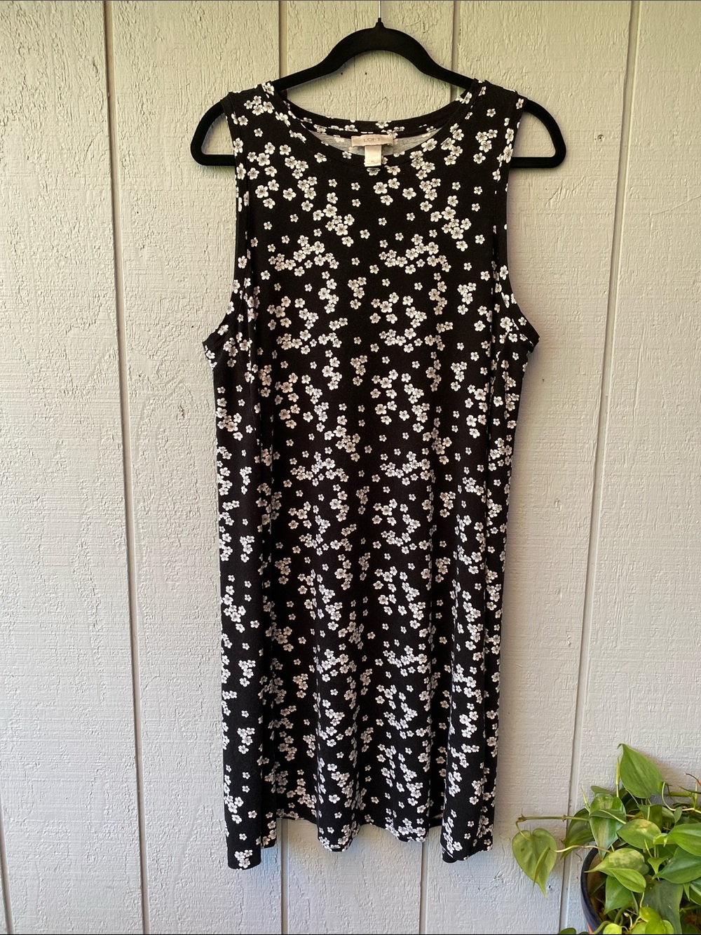LOFT Black Midi Dress with White Floral Print
